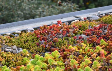 the cost of Thrandeston green roof installation