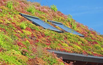 Thrandeston living roof systems